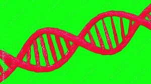 dna animation green screen animation, helix animation dna 3d 4k green screen 3d 4k helix 3d 4k, dna genetic green screen genetic helix genetic dna chromosome, green screen chromosome helix chromosome