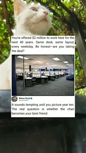 Would You Enjoy Working at the Same Desk Long-Term?