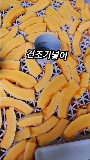 #늙은 호박보관어렵죠 건조시켜 분말 만들어 모든요리에 사용하세요