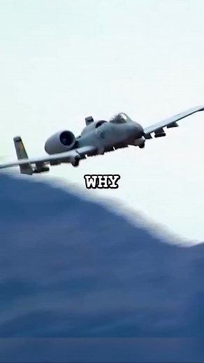 84K views · 2.7K reactions | Why Nobody Could Stop The A-10 Warthog #plane #avgeek #fighter #jetfighter #photochallenge #marine #flying #photographychallengechallenge #picturechallenge #airforce #pilot #militarypower #militaryaviation #military #picoftheday #combat #usaf #aviation #planespotting | Infantry Valor | Facebook