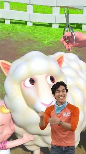 SHEEP in Sign Language! 🐑