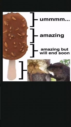 Ice Cream vs. Beaver: Hilarious Meltdown Meme Shorts! #memepage #funnymeme #betrayalmemes