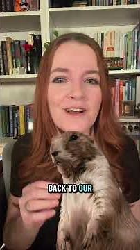 Groundhog Day: A History Full of Surprises