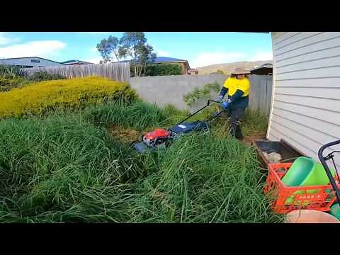 This Overgrown Yard Was Impossible to Mow!