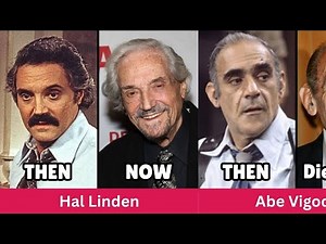 Barney Miller (1975) Cast Then and Now 2025, 50 Years Later, Who’s Still With Us?