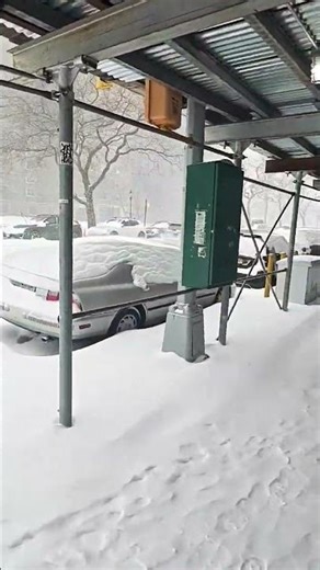 My Reaction to the Blizzard #lol