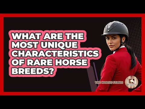 What Are The Most Unique Characteristics Of Rare Horse Breeds? - The Horses Stable