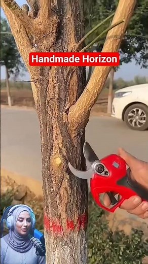 Branch Cutting Mastery-No Room for Mistakes🔥
