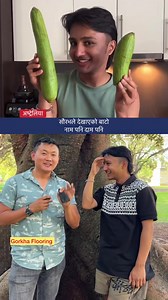 1.3M views · 77K reactions | अष्ट्रेलियामा खाना पकाएरै चर्चित सौरभ- नाम पनि दाम पनि, बन्न सक्छ प्रेरणा Saurab Dhakal, Jhol Momo, Australia #jholmomo #saurabdhakal #nepalifood #food #cuisine #nepaltube #saralgurung #nepali #sydney #australia | Nepal Tube Australia | Facebook