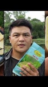 Quả SaKê Sấy Giòn , Có Khác Quả SaKê Tươi