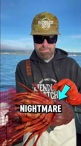 Largest Lobsters Look Terrifying ‼️ #lobster