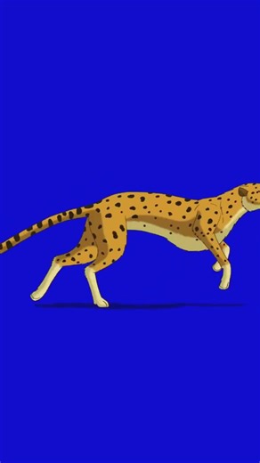 Built for Speed: The Cheetah Story