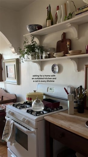 Finding a Home with Cats and Modern Kitchens