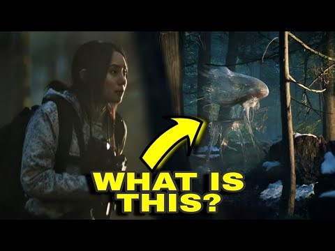 Invasion Season 3 Episode 7 Ending Explained