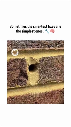 The Cinex Community on Instagram: "Sometimes the smartest fixes are the simplest ones. 🔧🧠 This video shows a classic DIY trick that proves you don’t always need fancy tools or expensive hardware to get the job done. By drilling into the mortar instead of the brick, using a wooden stirrer as a plug, and shaping a simple wire loop, this wall hook becomes surprisingly strong and reliable. What makes this hack so satisfying is how practical it is. No wall anchors. No special brackets. Just basic m
