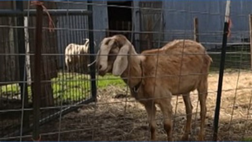 Farmland or tourist attraction?