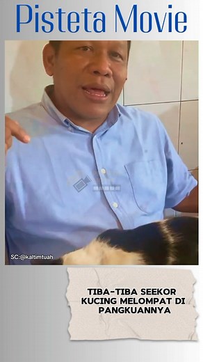 53K views · 1.1K reactions | Bapak ini tak marah saat ada kucing yang lompat di pangkuannya | Pisteta Movie | Facebook