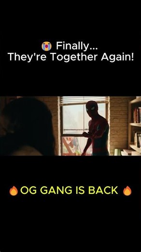 🕷️ THE SPIDER-MAN GANG IS FINALLY BACK TOGETHER! 😭❤️