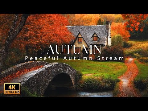 Peaceful Autumn Stream – 4K HDR Gentle Water Sounds for Deep Relaxation