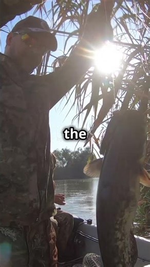 Catch of the Day Fishing Fun! 2025