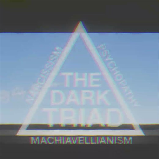 the forgoten aircrfat and it never existed the SR-91 AURORA