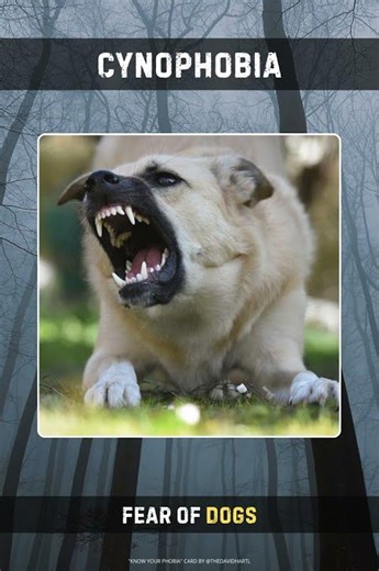 Cynophobia 🐶 | Fear of Dogs | #knowyourphobia