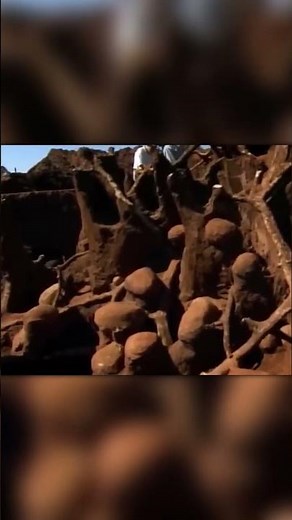 You Won’t Believe What Was Inside This Anthill!