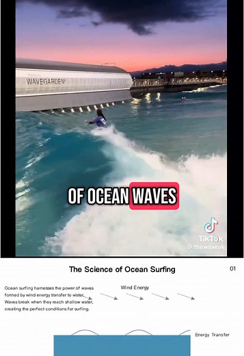 Exploring the Science Behind Surfing