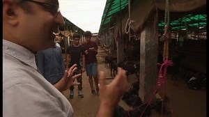 283K views · 1.4K reactions | "Real goats. Real stories" That's how the Goats Of Bangladesh sells itself. It's modelled on the urban tales of the Humans of New York, but with a twist - It's all about goats. | BBC Trending | Facebook