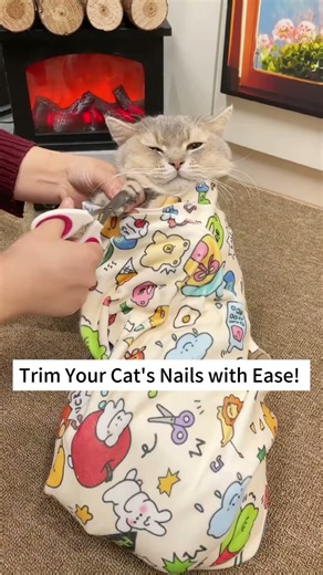 From Chaos to Calm: Cat Nail Care Made Simple