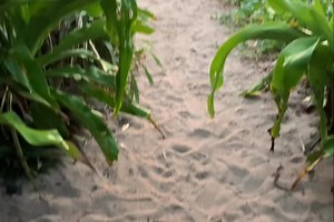 2.3M views · 16K reactions | best place to clear your mind | James | Facebook