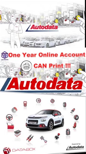 Auto Software Ma sur TikTok