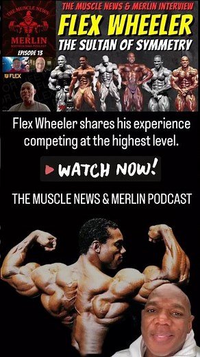 FLEX WHEELER - The Sultan of Symmetry Interviewed