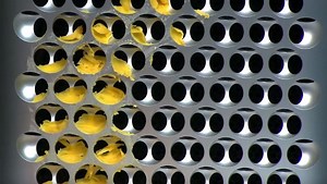 Turns out the new $6,000 Mac Pro isn't a very good cheese grater