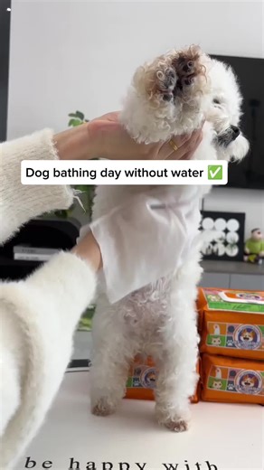Effective Dog Grooming with Deep Cleaning Gloves