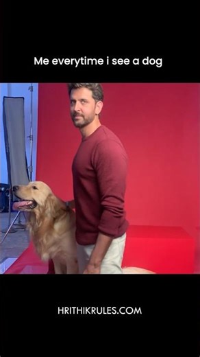Me Everytime When I See a Dog I #hrithikroshan #shorts #pedigree #dog