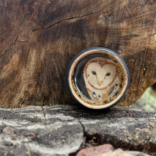 Hand Painted Barn Owl Salt Cellar | Stoneware Trinket Tray - Etsy