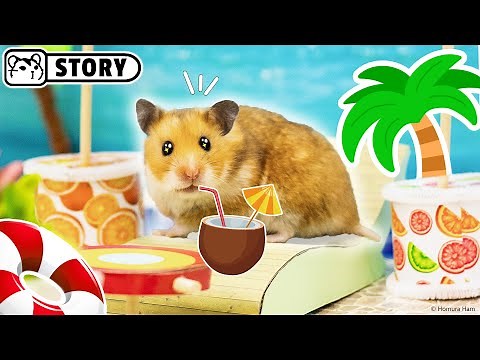 Hamster in the Water Park on the Sea 💦 Homura Ham