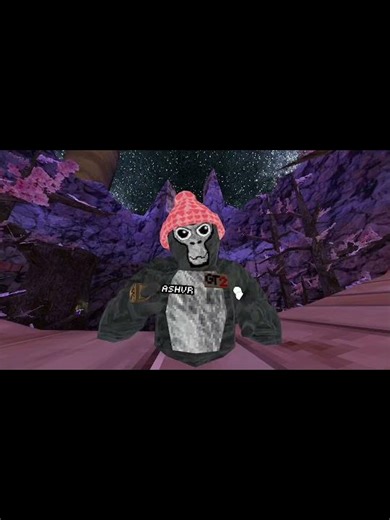 perfect colour code for this update #gorillatag #gorillatagquest #gorillatagquest #vr