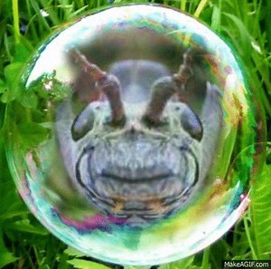 BL60SV on Make A Gif, Animated Gifs