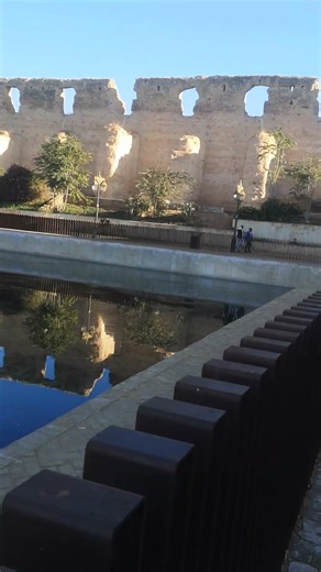 Is This the Calmest 80-LB Puppy Ever? Cane Corso Meets History!