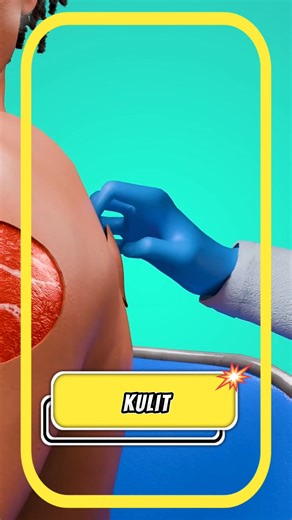 549K views · 2K reactions | Bayangin kamu jadi roti bakar gosong dan dokter datang sebagai chef penyelamat. Mereka ngupas bagian gosongnya, terus ambil “kulit cadangan” dari tempat lain di tubuhmu buat ditempelin di situ. Prosesnya mirip kayak nambal ban bocor, tapi versi manusia. Pelan-pelan kulit itu nyatu lagi, dan voila — kamu resmi jadi manusia edisi “limited patch”! #edukasi | Mustakim | Facebook