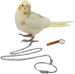 Bird Foot Chain Flying Stainless Steel Training Rope Outdoor Parrot Ankle Foot Ring Accessories Bird Harness Leash Prevent Escaping (Model4)
