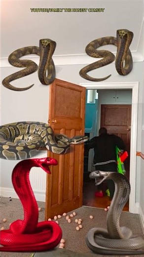 Animal funny video 2026 Anaconda snake python bhoot wala ondel ondel saamp bhoot wala #funny #shorts