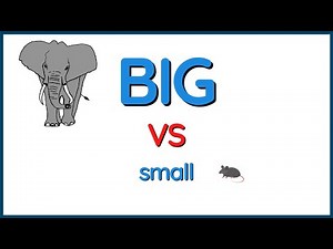 Concept Of Big and Small | Comparison for kids | Tina's Preschool