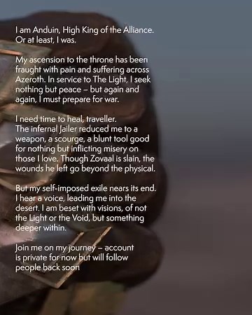 Get to know Anduin, High King of the Alliance… (Andy to his pals). 👑 | World of Warcraft