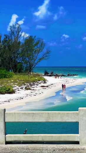Off the coast of Southwest Florida is the naturally beautiful island of Longboat Key. Longboat Key is known for its beaches and subtropical landscape which make for the perfect island vacation or weekend staycation! 🏝️ • • • • • #longboatkey #sarasota #srq #summervibes #paradise #beautiful #visitflorida #island #thingstodotampabay
