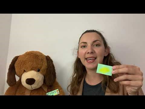 Colors and Shapes ESL Demo Lesson - ESL with Carmen
