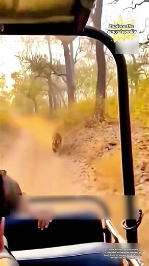 #popular #question #knowledge #enlightenment #fyp | questions