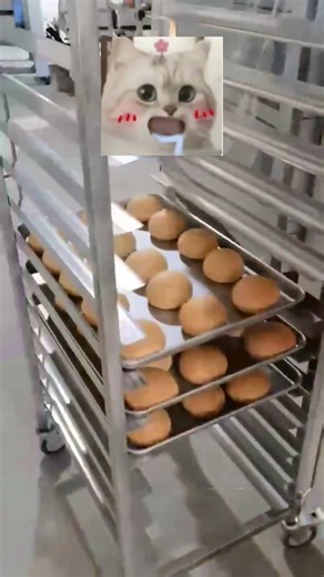 Full rack bun bake, quick tray check #bakeryequipment #bakeryproduction #oven #commercialbakery